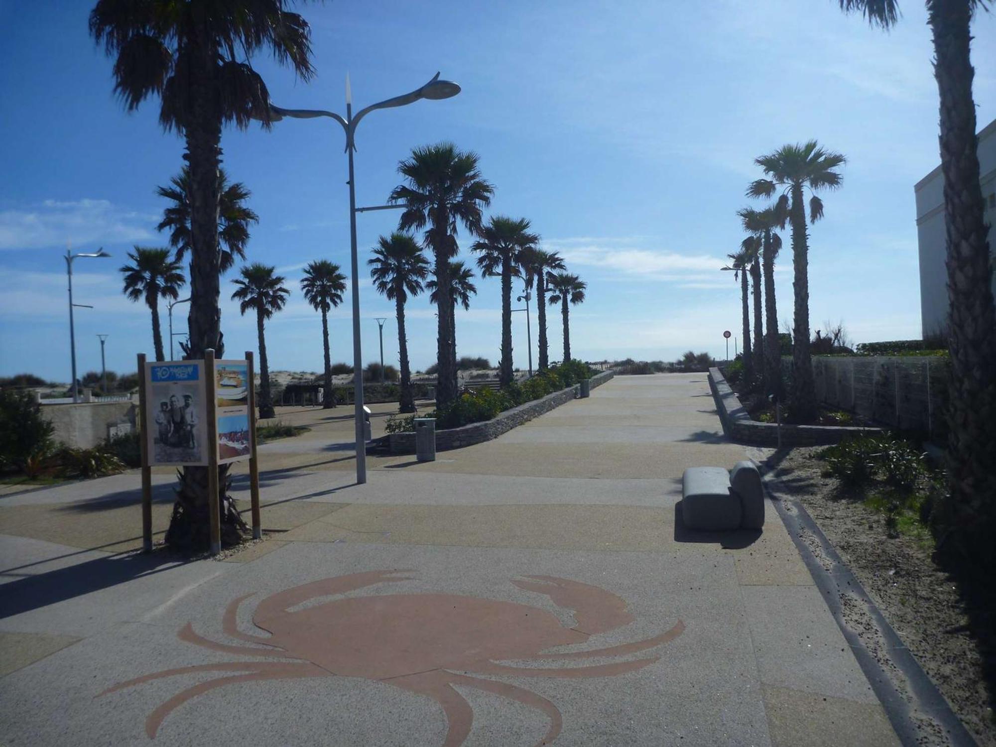 Appartement Marseillan-Plage, 2 pièces, 4 personnes - FR-1-387-169 Extérieur photo